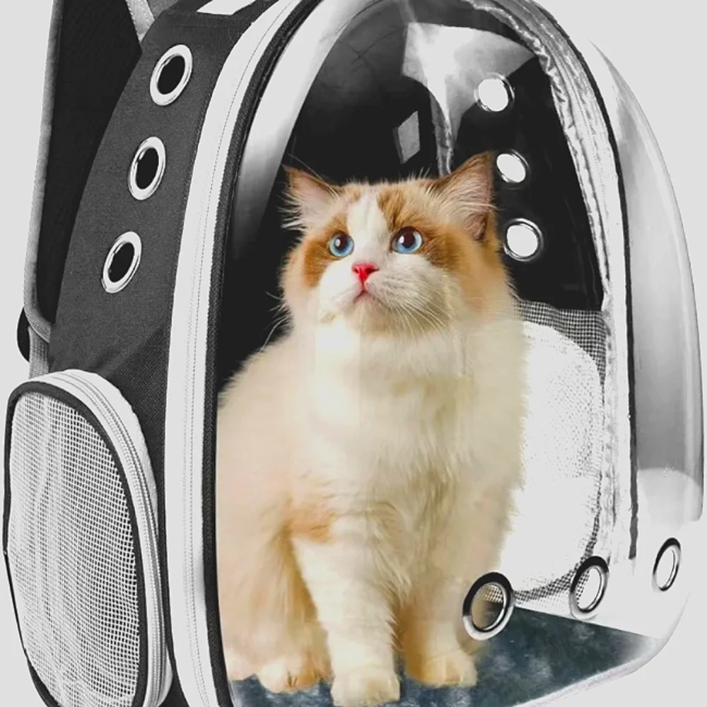 Cat Backpack